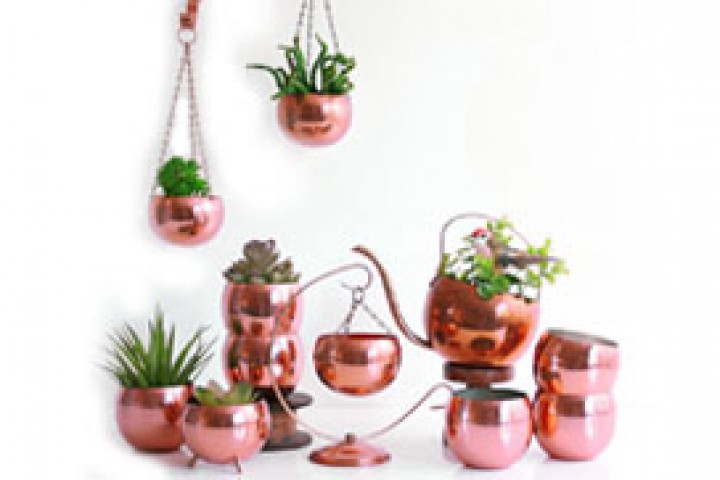 metalic planter with small plants isolated on white background